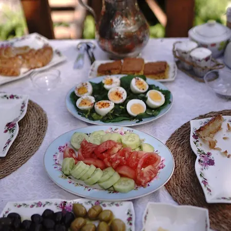 Kuzey * Ayder Yaylasi